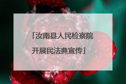汝南县人民检察院开展民法典宣传