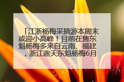 江浙杨梅采摘游本周末或迎小高峰！目前在售东魁杨梅多来自云南、福建，浙江露天东魁杨梅6月中旬大量上市