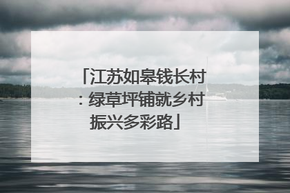 江苏如皋钱长村：绿草坪铺就乡村振兴多彩路