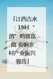 江西吉水：19村“鸽”鸣致富曲 奏响乡村产业振兴强音