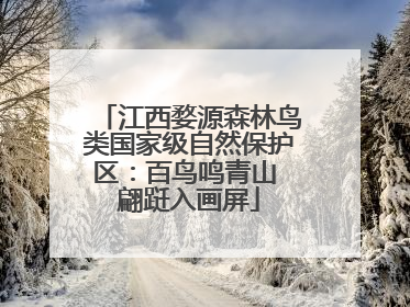 江西婺源森林鸟类国家级自然保护区：百鸟鸣青山 翩跹入画屏