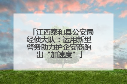 江西泰和县公安局经侦大队：运用新型警务助力护企安商跑出“加速度”