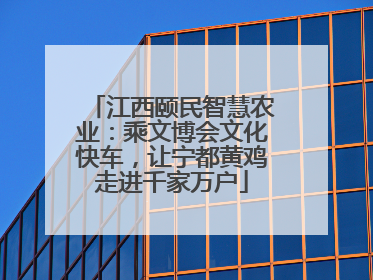 江西颐民智慧农业：乘文博会文化快车，让宁都黄鸡走进千家万户