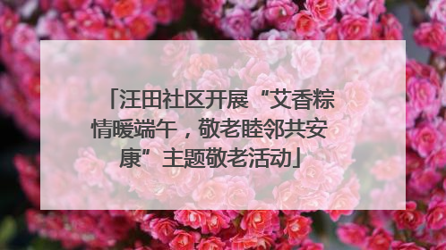 汪田社区开展“艾香粽情暖端午，敬老睦邻共安康”主题敬老活动