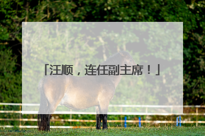 汪顺，连任副主席！