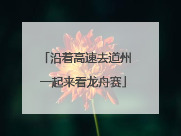 沿着高速去道州 一起来看龙舟赛