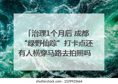 治理1个月后 成都“绿野仙踪”打卡点还有人横穿马路去拍照吗？｜民情瞭望