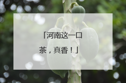 河南这一口茶，真香！