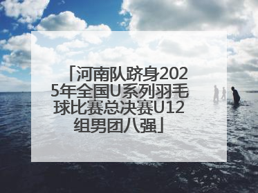 河南队跻身2025年全国U系列羽毛球比赛总决赛U12组男团八强