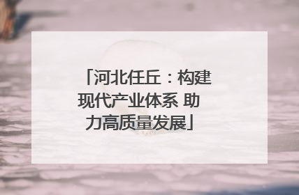 河北任丘：构建现代产业体系 助力高质量发展