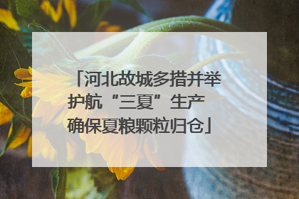 河北故城多措并举护航“三夏”生产 确保夏粮颗粒归仓