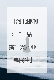 河北邯郸：“一品一播”兴产业惠民生