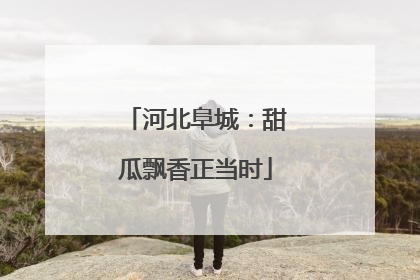 河北阜城：甜瓜飘香正当时