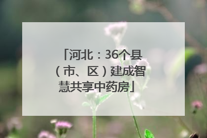 河北：36个县（市、区）建成智慧共享中药房