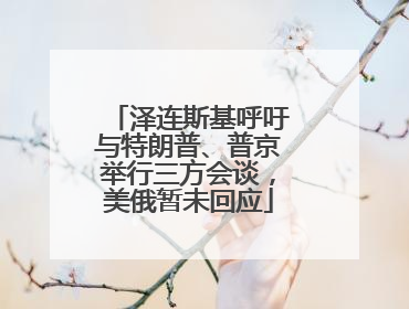 泽连斯基呼吁与特朗普、普京举行三方会谈，美俄暂未回应