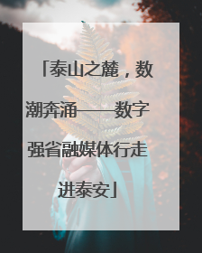 泰山之麓，数潮奔涌——数字强省融媒体行走进泰安