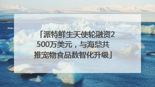 派特鲜生天使轮融资2500万美元，与海鼎共推宠物食品数智化升级