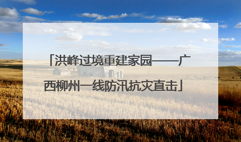 洪峰过境重建家园——广西柳州一线防汛抗灾直击