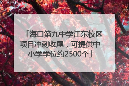 海口第九中学江东校区项目冲刺收尾，可提供中小学学位约2500个
