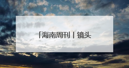 海南周刊丨镜头之下 蜂虎纷飞