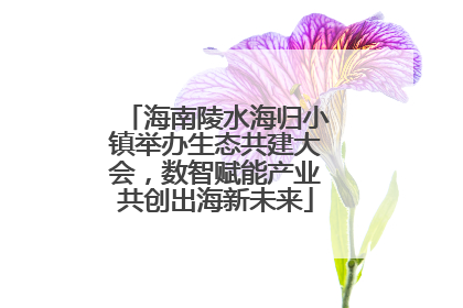 海南陵水海归小镇举办生态共建大会，数智赋能产业共创出海新未来