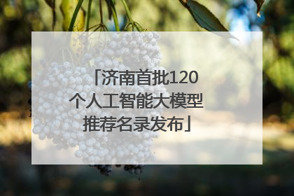 济南首批120个人工智能大模型推荐名录发布