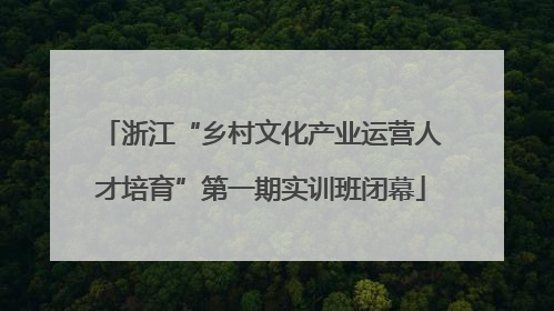 浙江“乡村文化产业运营人才培育”第一期实训班闭幕