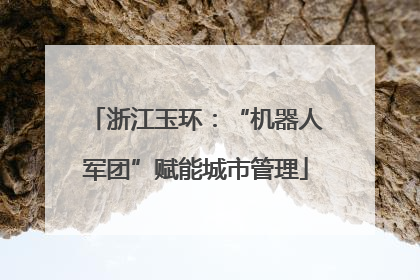 浙江玉环：“机器人军团”赋能城市管理
