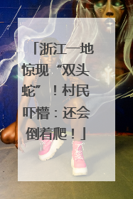 浙江一地惊现“双头蛇”！村民吓懵：还会倒着爬！