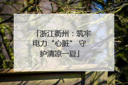 浙江衢州：筑牢电力“心脏” 守护清凉一夏