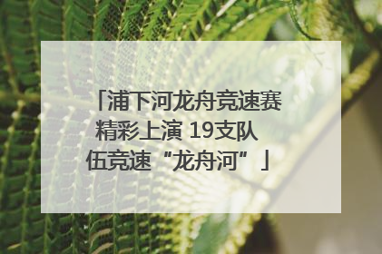 浦下河龙舟竞速赛精彩上演 19支队伍竞速“龙舟河”