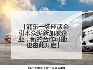 浦东一场座谈会引来众多新加坡企业，新的合作可能也由此开启