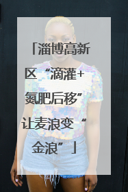 淄博高新区“滴灌+氮肥后移”让麦浪变“金浪”