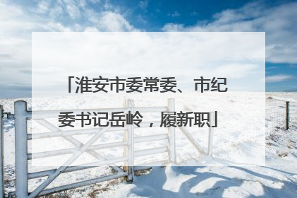 淮安市委常委、市纪委书记岳岭，履新职