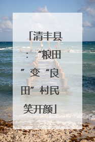 清丰县：“粮田”变“良田”村民笑开颜