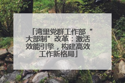 湾里党群工作部“大部制”改革：激活效能引擎，构建高效工作新格局