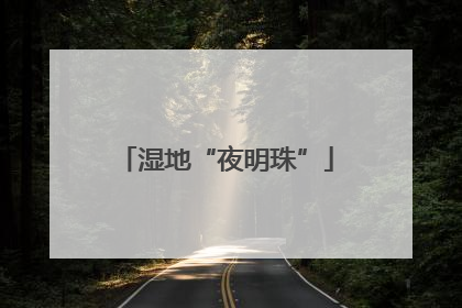湿地“夜明珠”