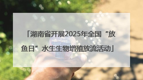 湖南省开展2025年全国“放鱼日”水生生物增殖放流活动