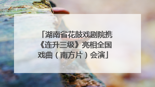 湖南省花鼓戏剧院携《连升三级》亮相全国戏曲（南方片）会演