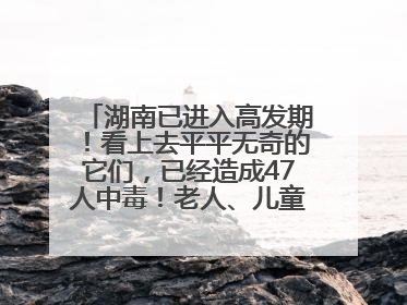 湖南已进入高发期！看上去平平无奇的它们，已经造成47人中毒！老人、儿童是高发人群