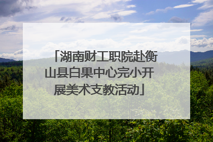 湖南财工职院赴衡山县白果中心完小开展美术支教活动