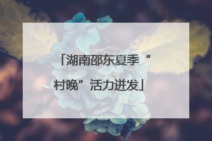 湖南邵东夏季“村晚”活力迸发