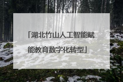 湖北竹山人工智能赋能教育数字化转型