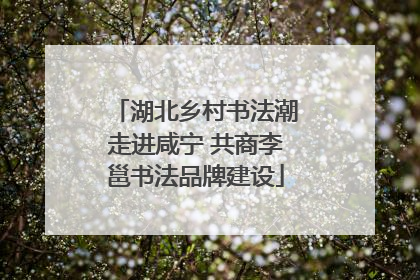 湖北乡村书法潮走进咸宁 共商李邕书法品牌建设