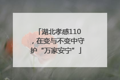 湖北孝感110，在变与不变中守护“万家安宁”