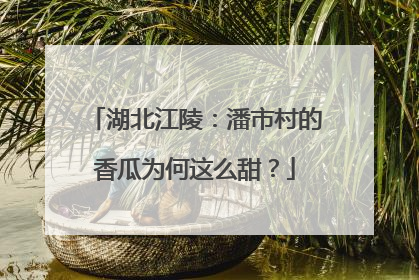 湖北江陵：潘市村的香瓜为何这么甜？