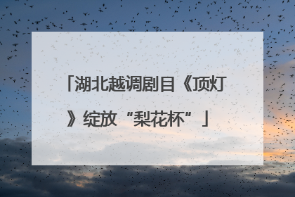 湖北越调剧目《顶灯》绽放“梨花杯”