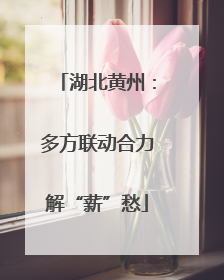 湖北黄州：多方联动合力解“薪”愁
