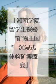 湘南学院留学生探秘“矿物王国” 沉浸式体验矿博盛宴