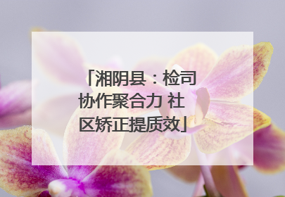 湘阴县：检司协作聚合力 社区矫正提质效